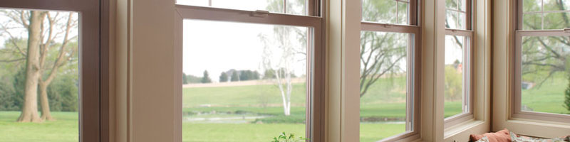 Single Hung Windows on Donna’s Doors and Windows Co. Single Hung Windows on Donna’s Doors and Windows Co.